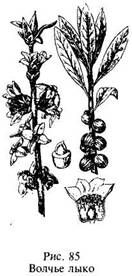 Иллюстрация к книге — Школа выживания в природных условиях [pic_96.jpg]