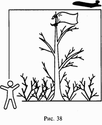 Иллюстрация к книге — Школа выживания при авариях и стихийных бедствиях [any2fbimgloader37.png]