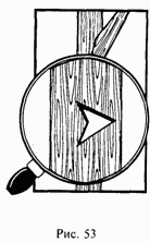 Иллюстрация к книге — Школа выживания при авариях и стихийных бедствиях [any2fbimgloader51.png]