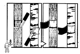 Иллюстрация к книге — Школа выживания. Как избежать голодной смерти [_03.jpg]