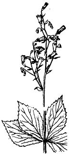 Иллюстрация к книге — Школа выживания. Как избежать голодной смерти [_05.jpg]