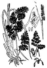 Иллюстрация к книге — Школа выживания. Как избежать голодной смерти [_07.jpg]