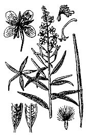 Иллюстрация к книге — Школа выживания. Как избежать голодной смерти [_09.jpg]