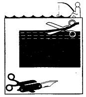 Иллюстрация к книге — Школа выживания. Как избежать голодной смерти [_104.jpg]