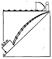 Иллюстрация к книге — Школа выживания. Как избежать голодной смерти [_105.jpg]