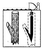 Иллюстрация к книге — Школа выживания. Как избежать голодной смерти [_117.jpg]