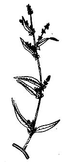 Иллюстрация к книге — Школа выживания. Как избежать голодной смерти [_12.jpg]