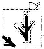 Иллюстрация к книге — Школа выживания. Как избежать голодной смерти [_120.jpg]