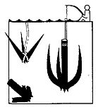 Иллюстрация к книге — Школа выживания. Как избежать голодной смерти [_122.jpg]