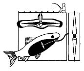 Иллюстрация к книге — Школа выживания. Как избежать голодной смерти [_124.jpg]