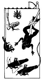 Иллюстрация к книге — Школа выживания. Как избежать голодной смерти [_139.jpg]