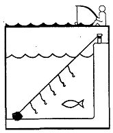 Иллюстрация к книге — Школа выживания. Как избежать голодной смерти [_150.jpg]