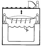 Иллюстрация к книге — Школа выживания. Как избежать голодной смерти [_154.jpg]