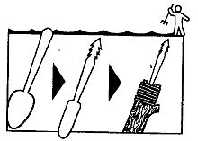 Иллюстрация к книге — Школа выживания. Как избежать голодной смерти [_165.jpg]