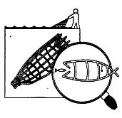 Иллюстрация к книге — Школа выживания. Как избежать голодной смерти [_171.jpg]