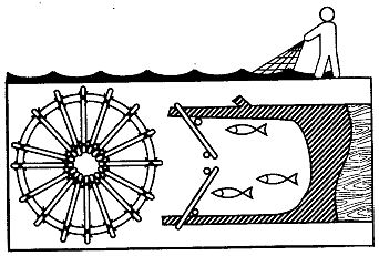 Иллюстрация к книге — Школа выживания. Как избежать голодной смерти [_175.jpg]