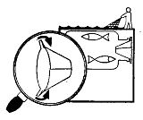 Иллюстрация к книге — Школа выживания. Как избежать голодной смерти [_176.jpg]