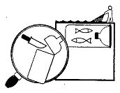 Иллюстрация к книге — Школа выживания. Как избежать голодной смерти [_177.jpg]