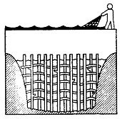 Иллюстрация к книге — Школа выживания. Как избежать голодной смерти [_184.jpg]