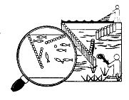 Иллюстрация к книге — Школа выживания. Как избежать голодной смерти [_190.jpg]