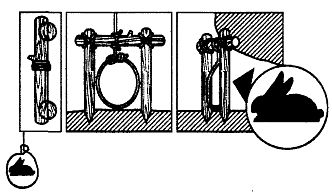 Иллюстрация к книге — Школа выживания. Как избежать голодной смерти [_202.jpg]