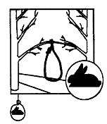 Иллюстрация к книге — Школа выживания. Как избежать голодной смерти [_204.jpg]