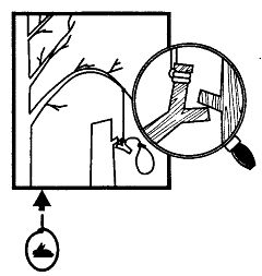Иллюстрация к книге — Школа выживания. Как избежать голодной смерти [_212.jpg]
