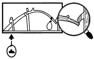 Иллюстрация к книге — Школа выживания. Как избежать голодной смерти [_213.jpg]