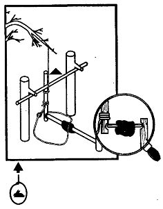 Иллюстрация к книге — Школа выживания. Как избежать голодной смерти [_214.jpg]
