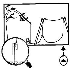 Иллюстрация к книге — Школа выживания. Как избежать голодной смерти [_215.jpg]
