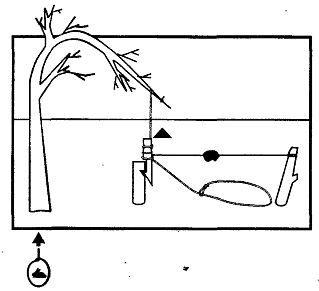 Иллюстрация к книге — Школа выживания. Как избежать голодной смерти [_216.jpg]
