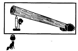 Иллюстрация к книге — Школа выживания. Как избежать голодной смерти [_222.jpg]