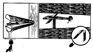 Иллюстрация к книге — Школа выживания. Как избежать голодной смерти [_229.jpg]