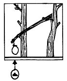 Иллюстрация к книге — Школа выживания. Как избежать голодной смерти [_232.jpg]