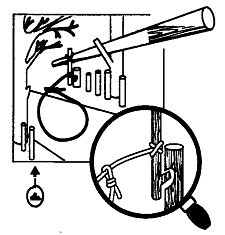 Иллюстрация к книге — Школа выживания. Как избежать голодной смерти [_234.jpg]