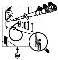 Иллюстрация к книге — Школа выживания. Как избежать голодной смерти [_235.jpg]