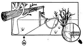 Иллюстрация к книге — Школа выживания. Как избежать голодной смерти [_236.jpg]