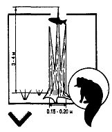 Иллюстрация к книге — Школа выживания. Как избежать голодной смерти [_239.jpg]