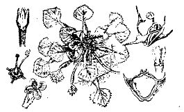 Иллюстрация к книге — Школа выживания. Как избежать голодной смерти [_24.jpg]