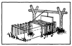 Иллюстрация к книге — Школа выживания. Как избежать голодной смерти [_243.jpg]