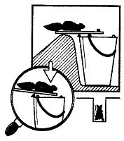 Иллюстрация к книге — Школа выживания. Как избежать голодной смерти [_247.jpg]