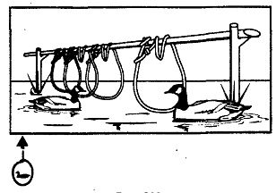 Иллюстрация к книге — Школа выживания. Как избежать голодной смерти [_249.jpg]