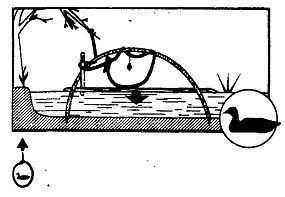 Иллюстрация к книге — Школа выживания. Как избежать голодной смерти [_250.jpg]