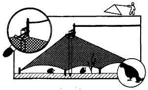Иллюстрация к книге — Школа выживания. Как избежать голодной смерти [_251.jpg]