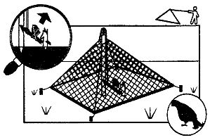Иллюстрация к книге — Школа выживания. Как избежать голодной смерти [_252.jpg]