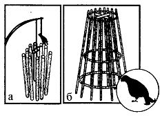 Иллюстрация к книге — Школа выживания. Как избежать голодной смерти [_258.jpg]