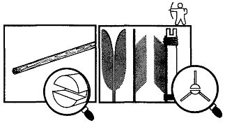 Иллюстрация к книге — Школа выживания. Как избежать голодной смерти [_264.jpg]