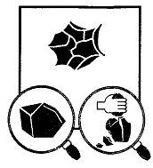 Иллюстрация к книге — Школа выживания. Как избежать голодной смерти [_271.jpg]