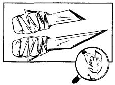 Иллюстрация к книге — Школа выживания. Как избежать голодной смерти [_272.jpg]