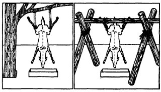 Иллюстрация к книге — Школа выживания. Как избежать голодной смерти [_274.jpg]